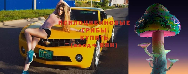 круглые Гусев