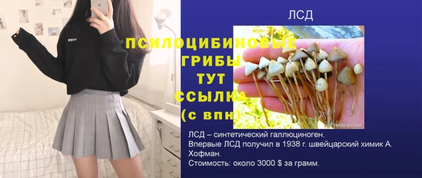 мескалин Гусь-Хрустальный