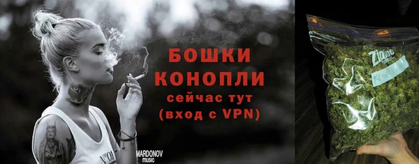 круглые Гусев