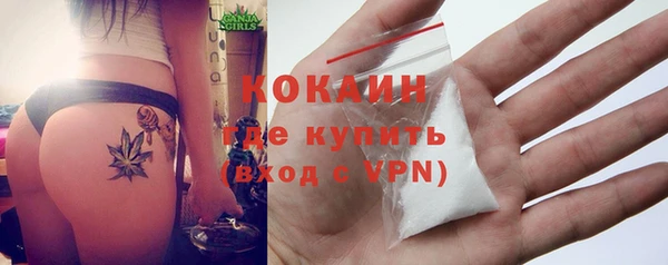 круглые Гусев