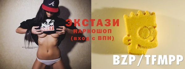 круглые Гусев