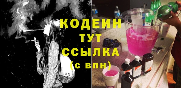 круглые Гусев