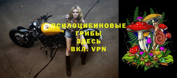 прущая мука Дмитровск