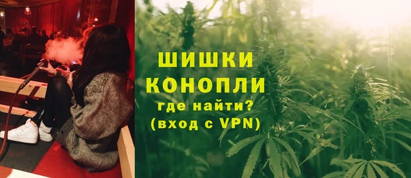 круглые Гусев