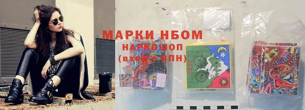 молекула духа Гусиноозёрск