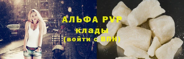 круглые Гусев